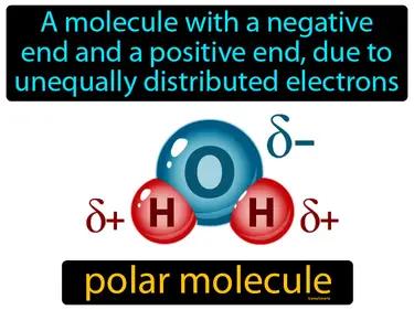 Polar Molecule Meaning