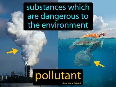 Pollutant Meaning