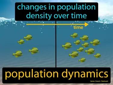 Population Dynamics Meaning