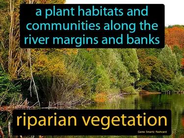 Riparian Vegetation Meaning