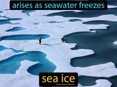 Sea Ice Meaning