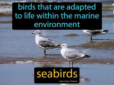 Seabirds Meaning
