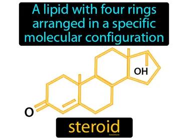 Steroid Meaning