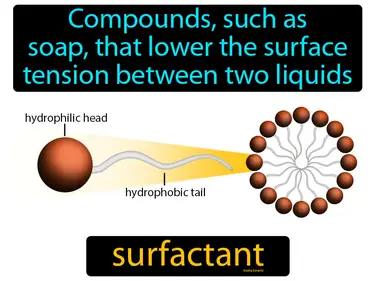 Surfactant Meaning