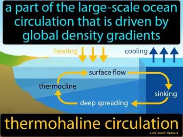 Thermohaline Circulation Meaning