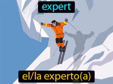 El Experto Meaning