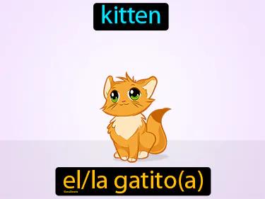 El Gatito Meaning