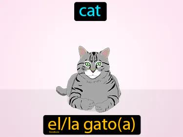 El Gato Meaning