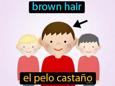 El Pelo Castano Meaning