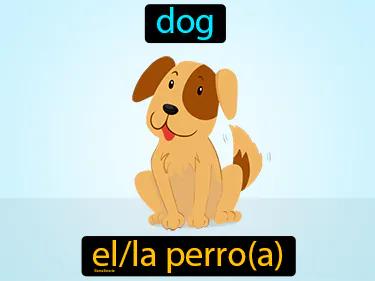El Perro Meaning