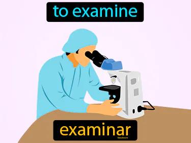 Examinar Meaning