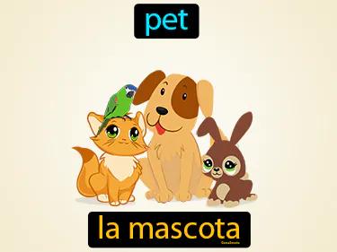 La Mascota Meaning