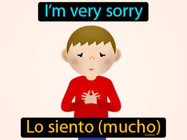 Lo Siento Mucho Meaning