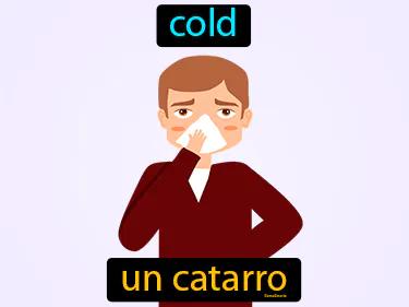 Un Catarro Meaning