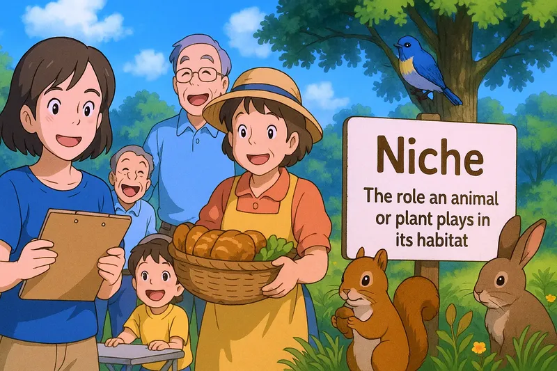 Niche Meaning Niche Meaning