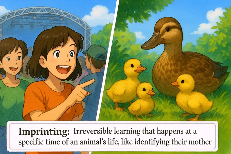 Imprinting Meaning Imprinting Meaning