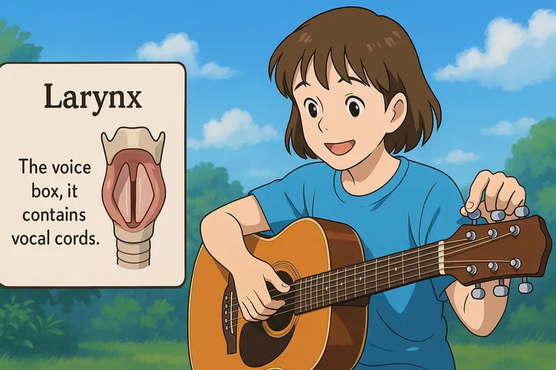 Larynx Meaning Larynx Meaning