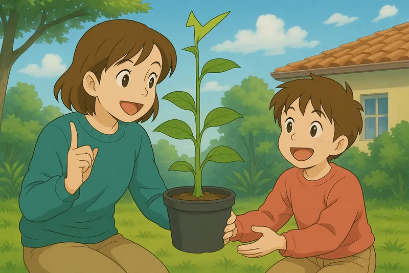 Primary Growth Meaning Primary Growth Meaning