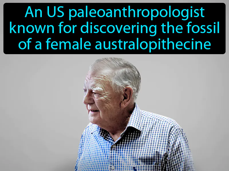 Donald Johanson Definition Donald Johanson Definition