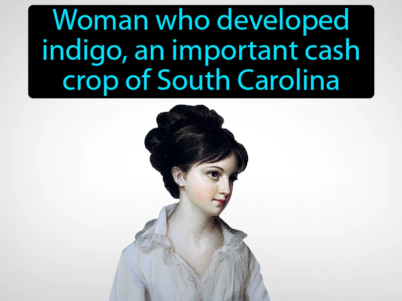 Eliza Lucas Pinckney Definition Eliza Lucas Pinckney Definition