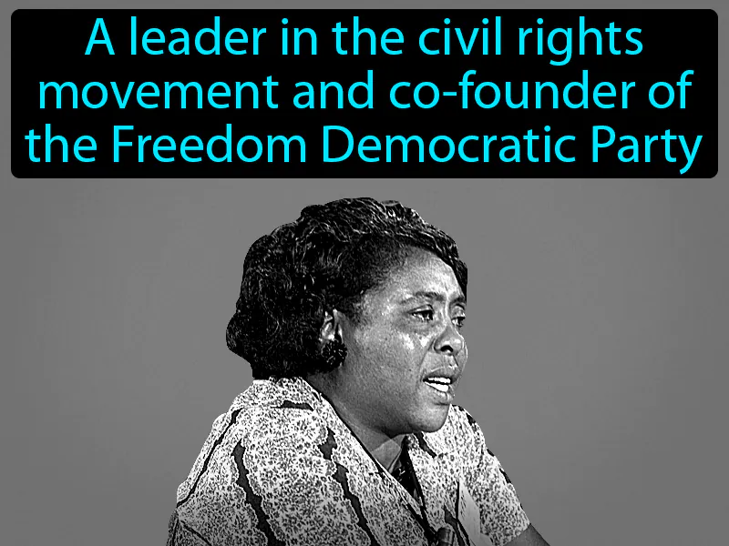Fannie Lou Hamer Definition Fannie Lou Hamer Definition