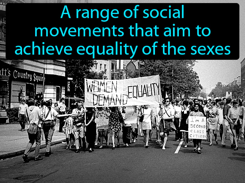 Feminism Definition Feminism Definition