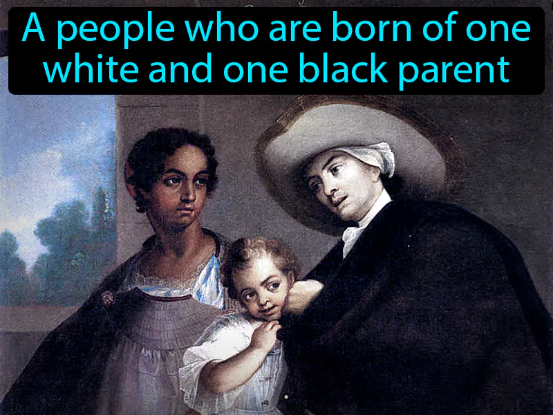 Mulatto Definition Mulatto Definition