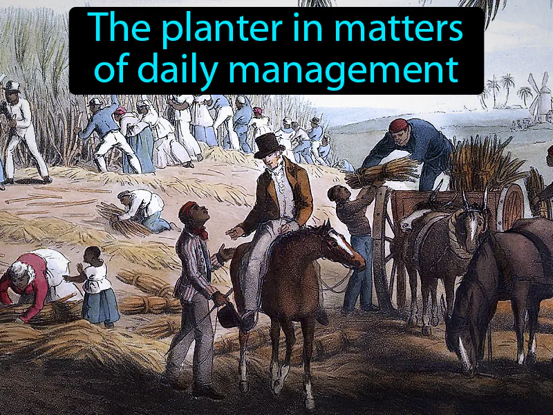 Overseer Definition Overseer Definition