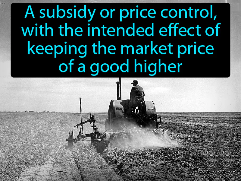 Price Support Definition