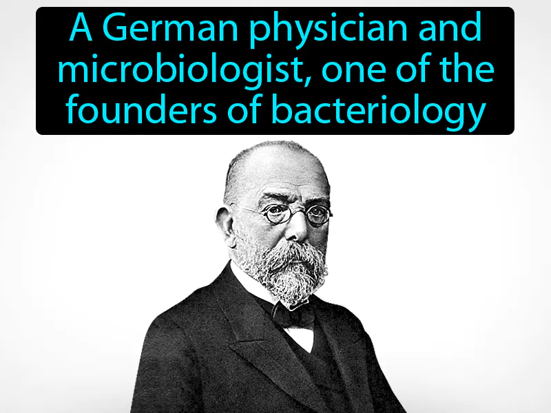 Robert Koch Definition