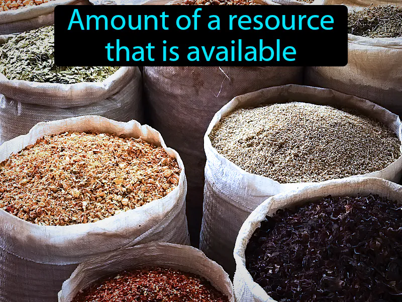 Supply Definition Supply Definition