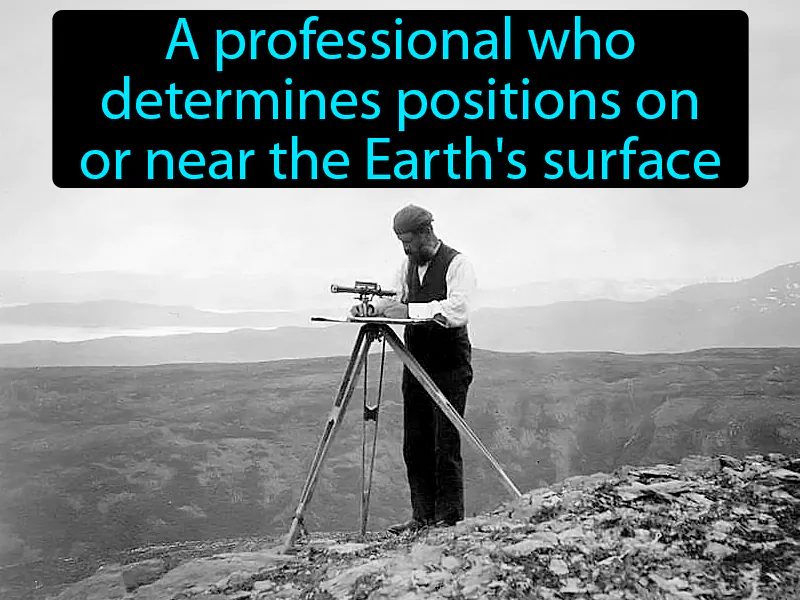 Surveyor Definition Surveyor Definition