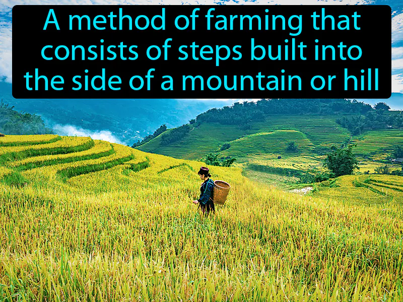 Terrace Farming Definition Terrace Farming Definition