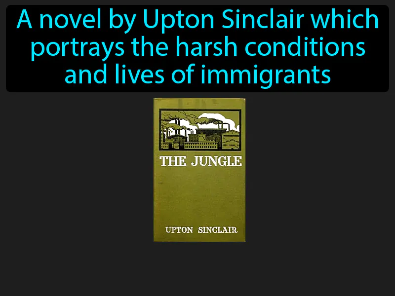 The Jungle Definition