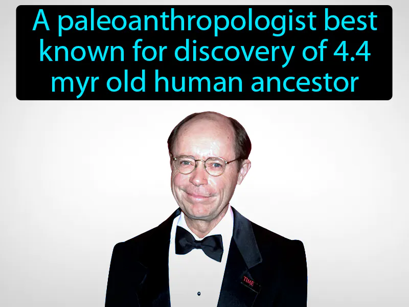 Tim White Definition