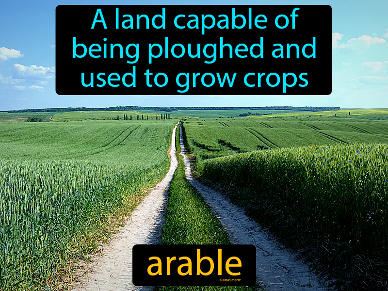 Arable Definition Arable Definition