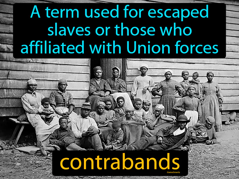 Contrabands Definition Contrabands Definition