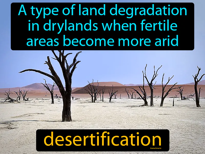 Desertification Definition Desertification Definition