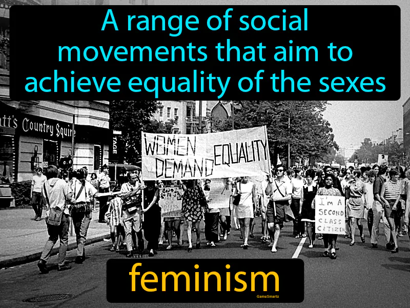 Feminism Definition Feminism Definition