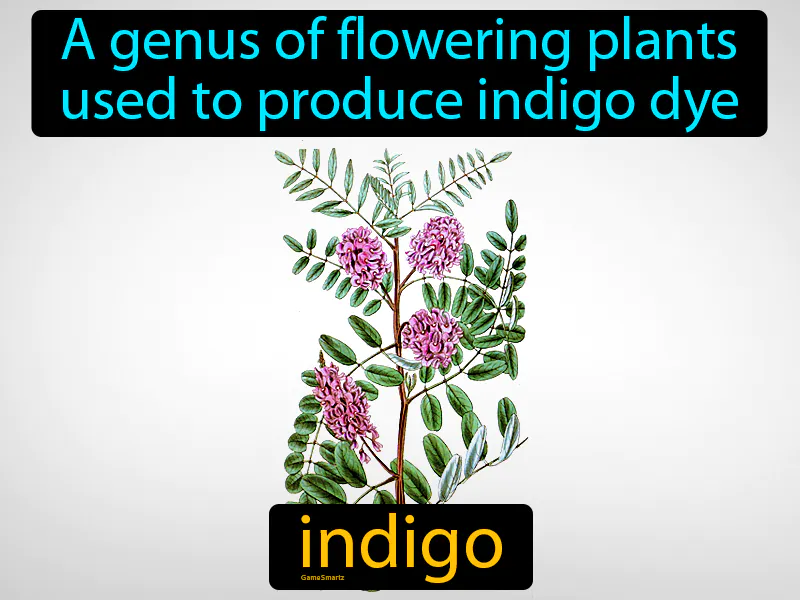 Indigo Definition Indigo Definition