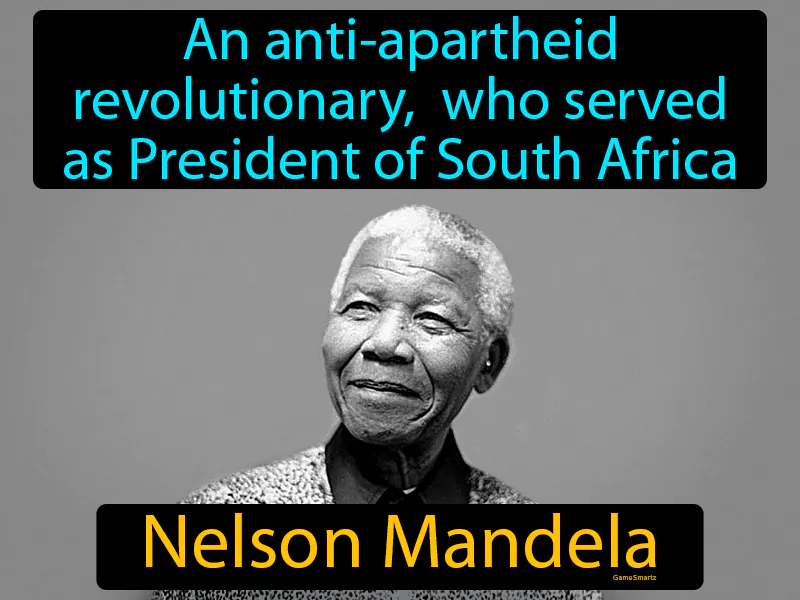 Nelson Mandela Definition Nelson Mandela Definition