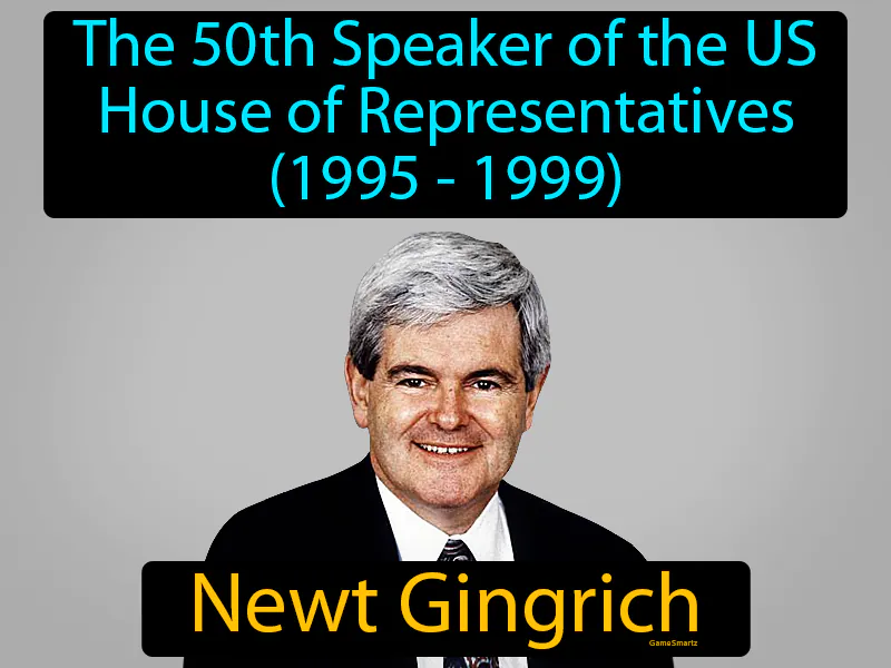 Newt Gingrich Definition Newt Gingrich Definition