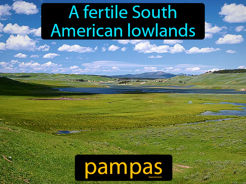 Pampas Definition Pampas Definition