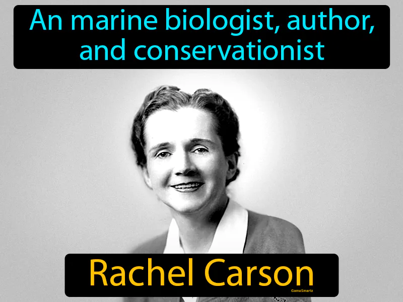 Rachel Carson Definition Rachel Carson Definition
