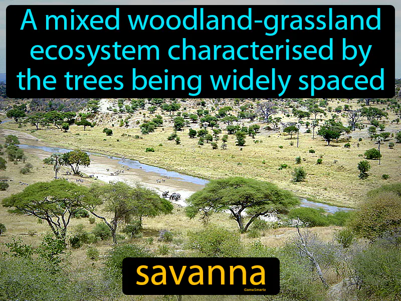 Savanna Definition Savanna Definition