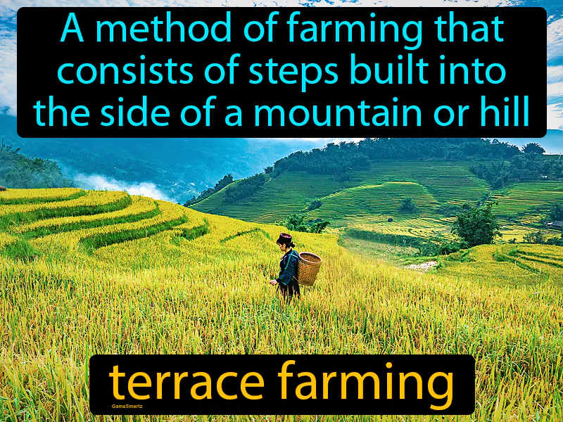 Terrace Farming Definition Terrace Farming Definition