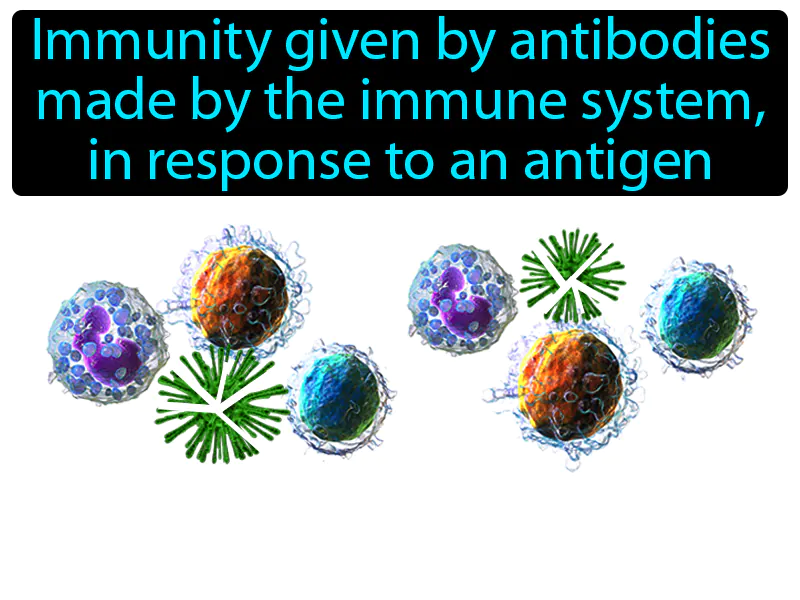 Active Immunity Definition Active Immunity Definition