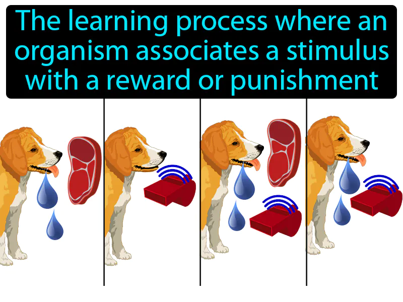 Classical Conditioning Definition Classical Conditioning Definition