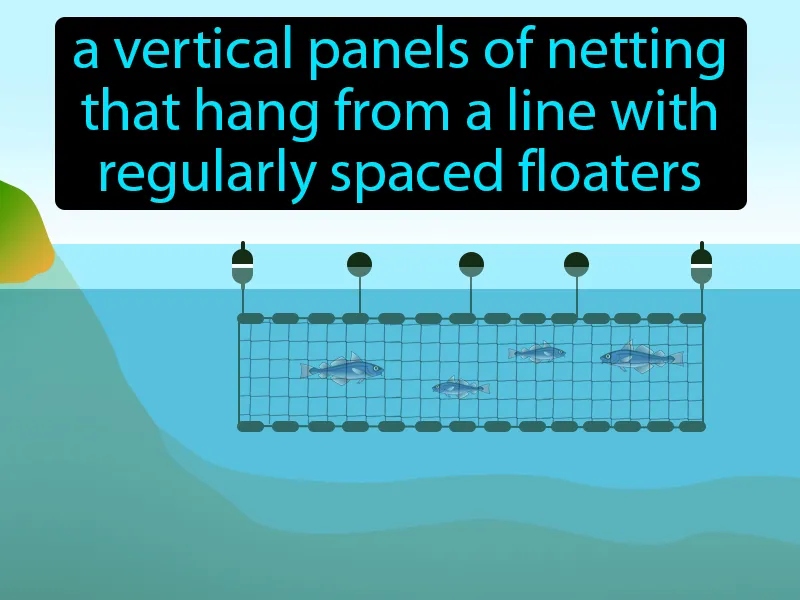 Gill Net Definition