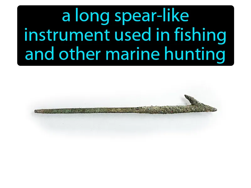 Harpoon Definition